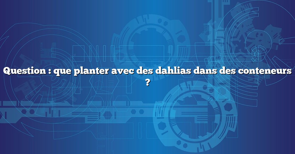 Question : que planter avec des dahlias dans des conteneurs ?